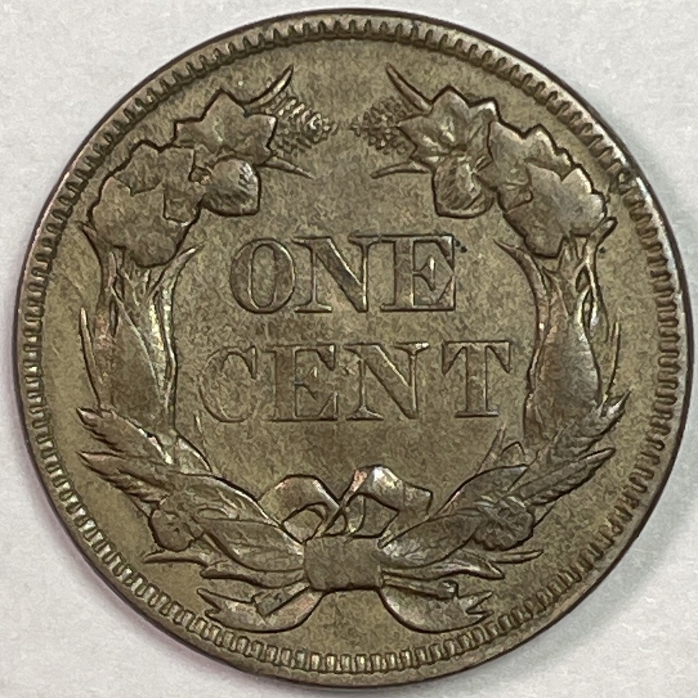 1857 Flying Eagle Cent Almost Uncirculated AU Coin #18608