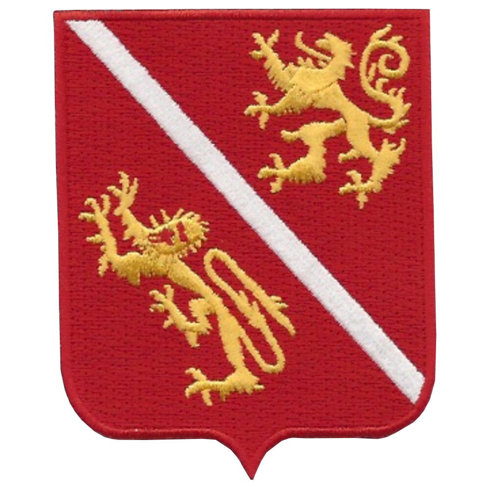 291st Engineering Battalion Patch