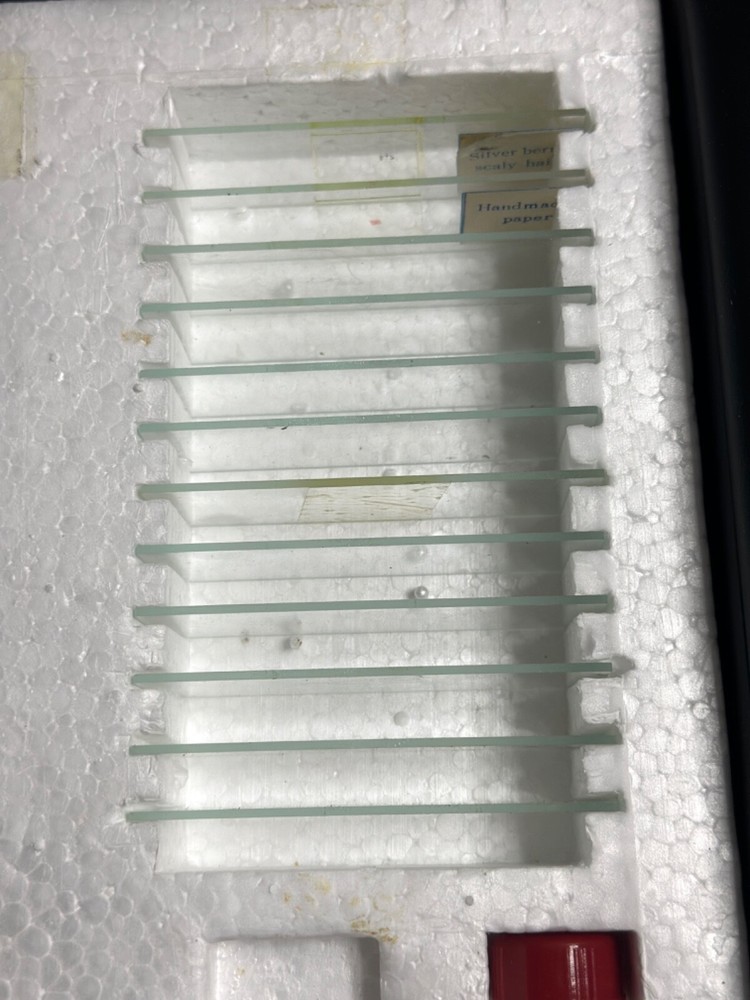 Crescent Microscope With Super Zoom and light Set