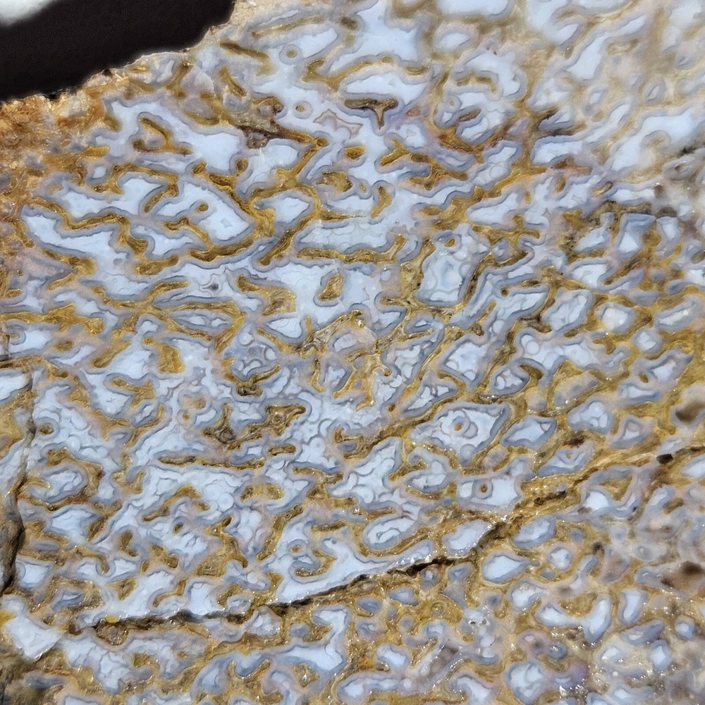 Untreated Dinosaur Bone Lapidary Slab Utah 105 Grams