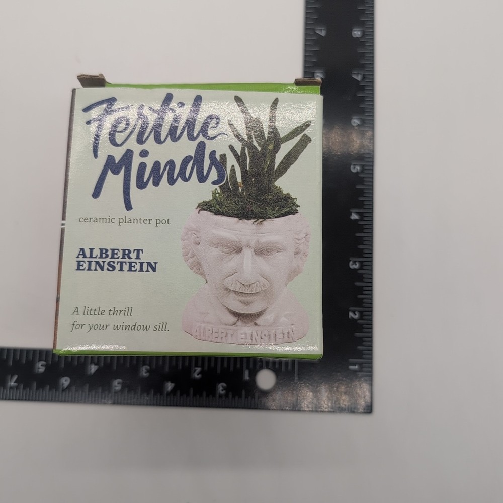 Fertile Minds Albert Einstein Ceramic Planter Pot New Open Box