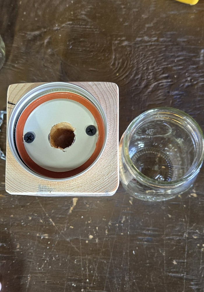 CARPENTER 'BORE' BEE TRAPS THAT WORK!