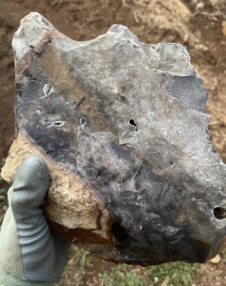 11.76 lb Blue Biggs Picture Jasper  Lapidary Rough from Biggs, Oregon