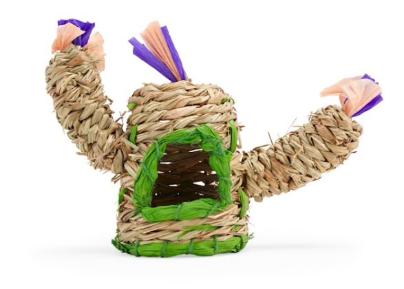 You and Me Cactus Chewable Hideaway, Medium (for hamsters, gerbils)