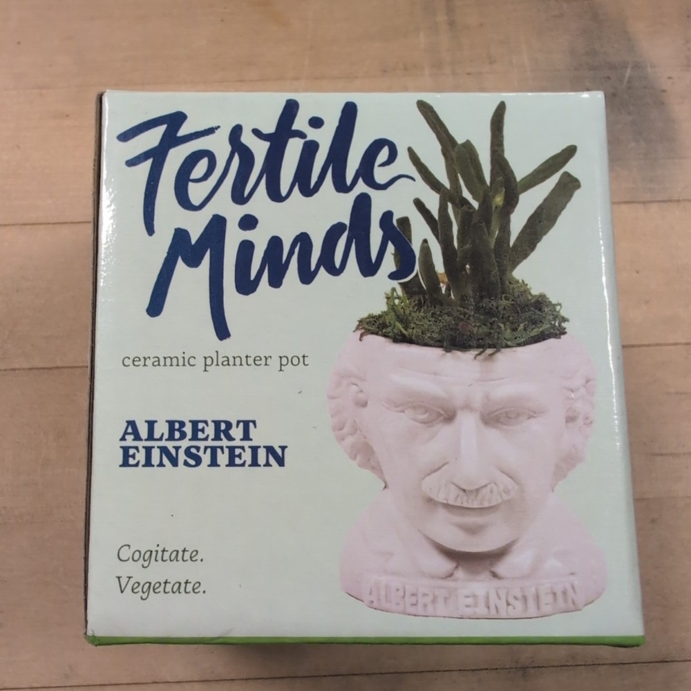 Fertile Minds Albert Einstein Ceramic Planter Pot New Open Box
