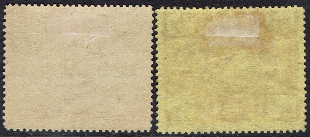 BERMUDA 1921 KGV TERCENTENARY 2½D AND 3D