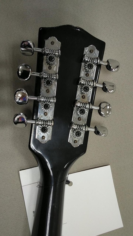 SUZUKI Unknown Flat Mandolin