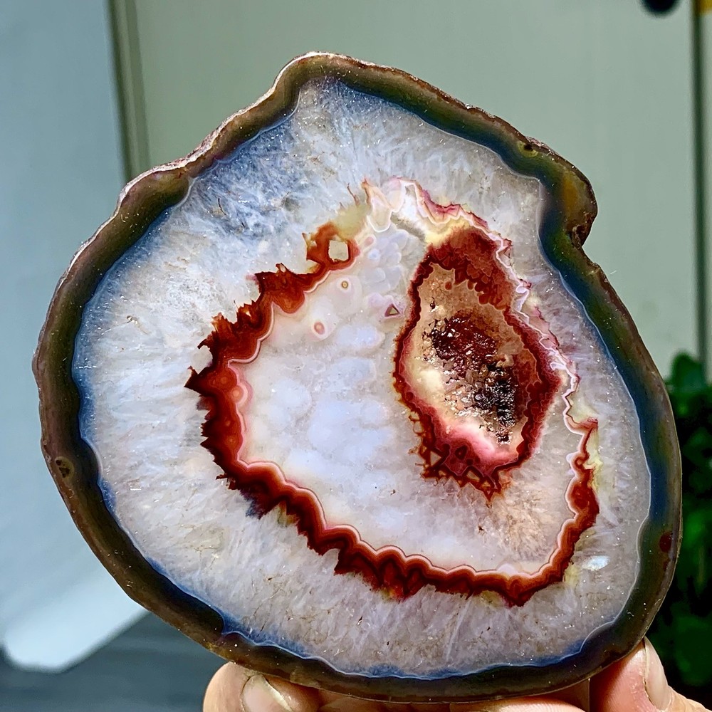 287G Natural Beautiful Agate Geode Druzy Slice Extra Large Gemstone