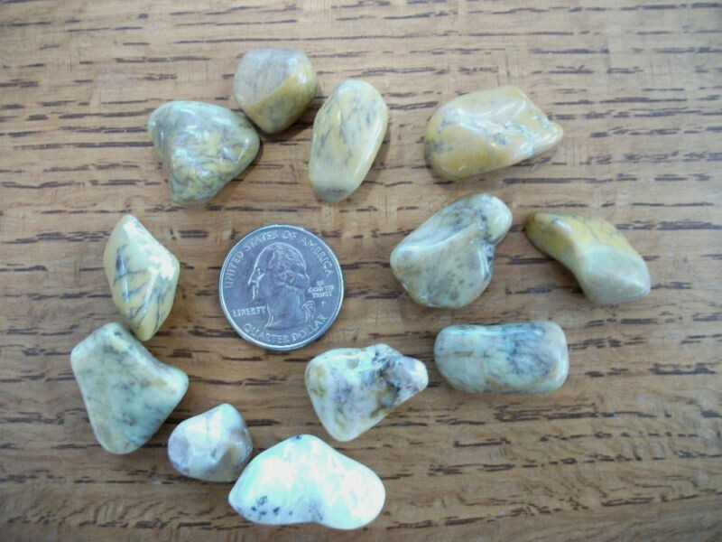 Tumbled MOSS OPALITE for Headache & Calming Hyper Folks