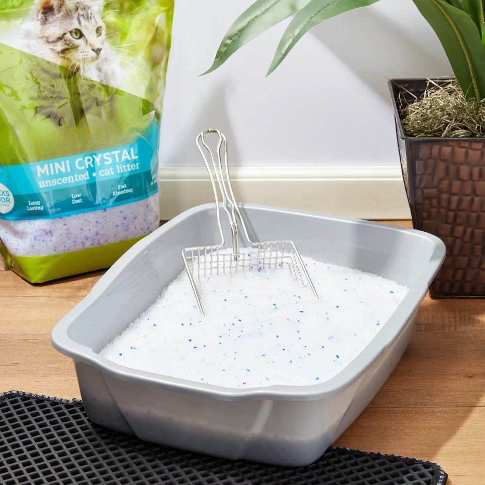 (4 pack) Mini Crystal Unscented Cat Litter, 8 lb