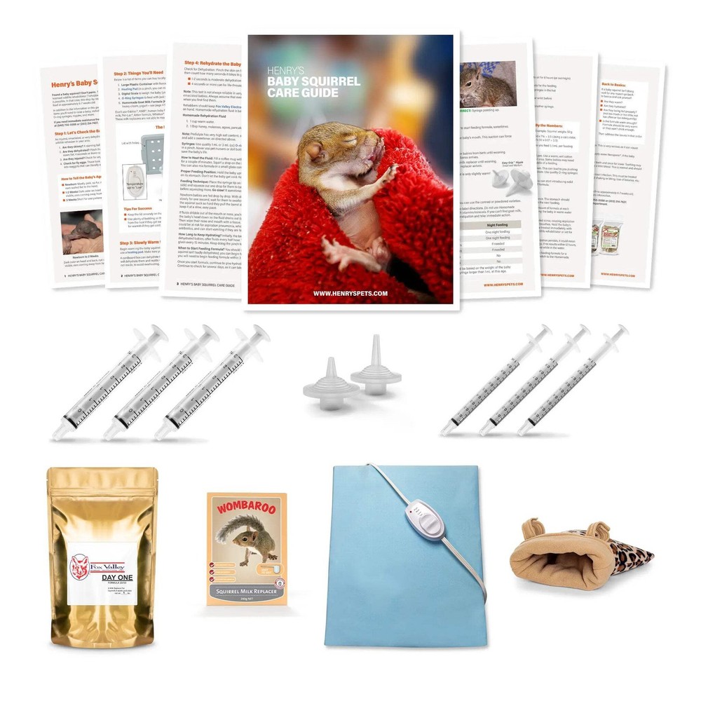 Baby Squirrel Kits
