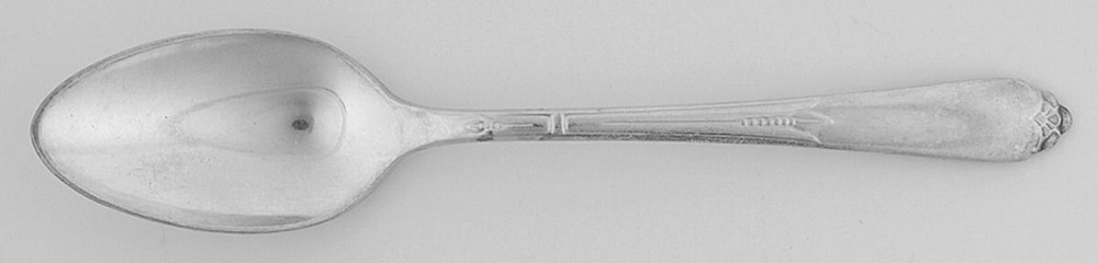 International Silver Inspiration Teaspoon 249484
