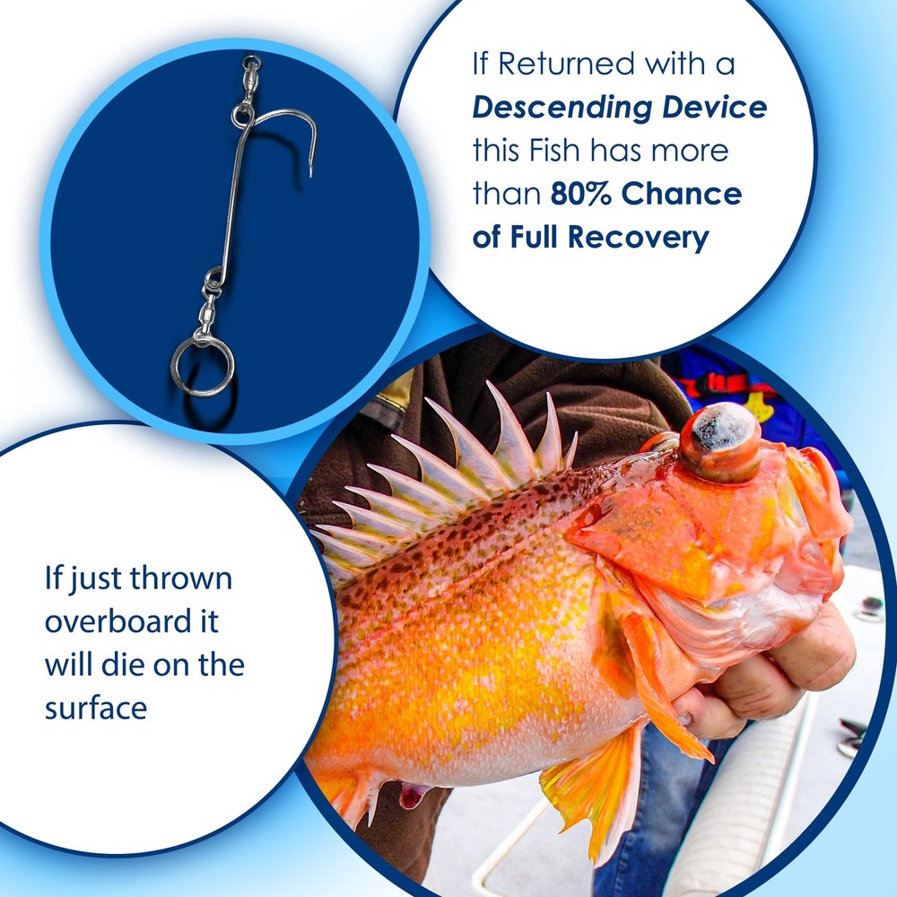 Fish descending release device compact NOAA compliant for deep drops