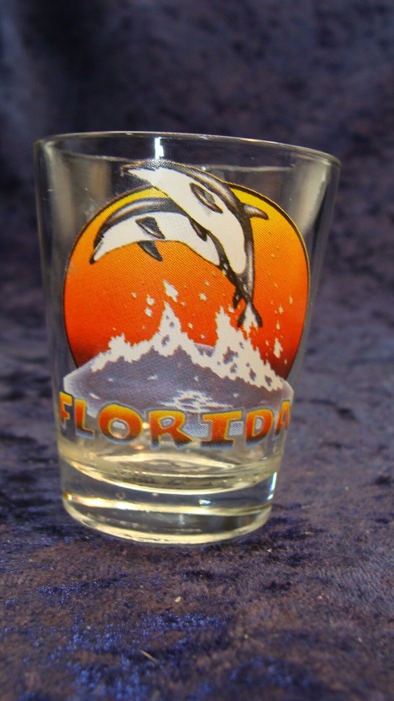 DOLPHINS ~ FLORIDA ~ Shot Glass  ~ 2.25” ~ VGC ~