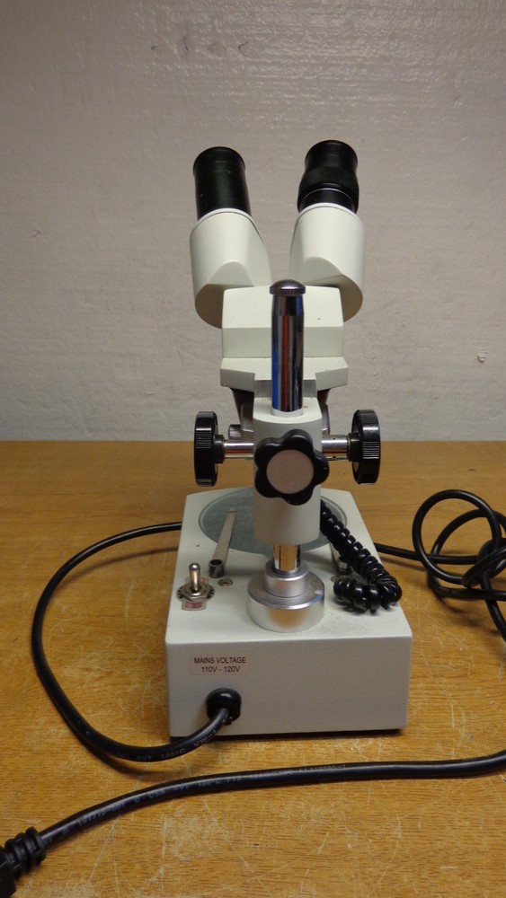Fisher Science Education Microscope S90013A
