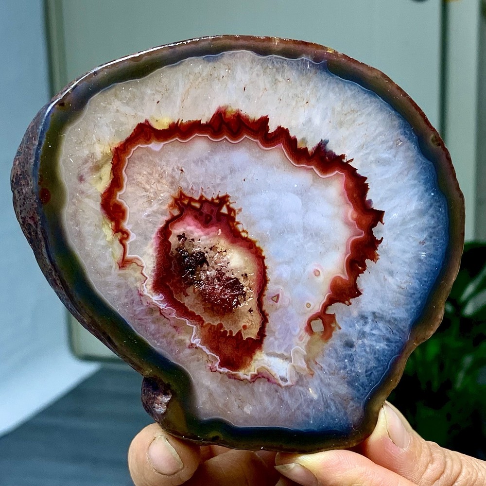 287G Natural Beautiful Agate Geode Druzy Slice Extra Large Gemstone