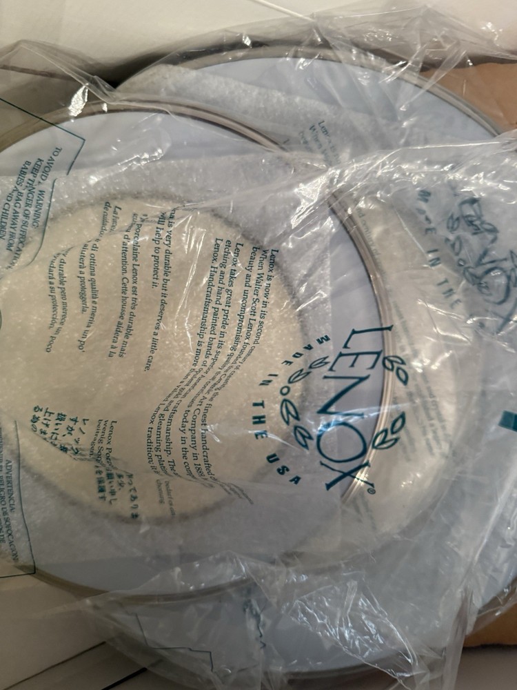 Lenox Blue Frost Dinnerware 2 Sets, 10 Pieces Total
