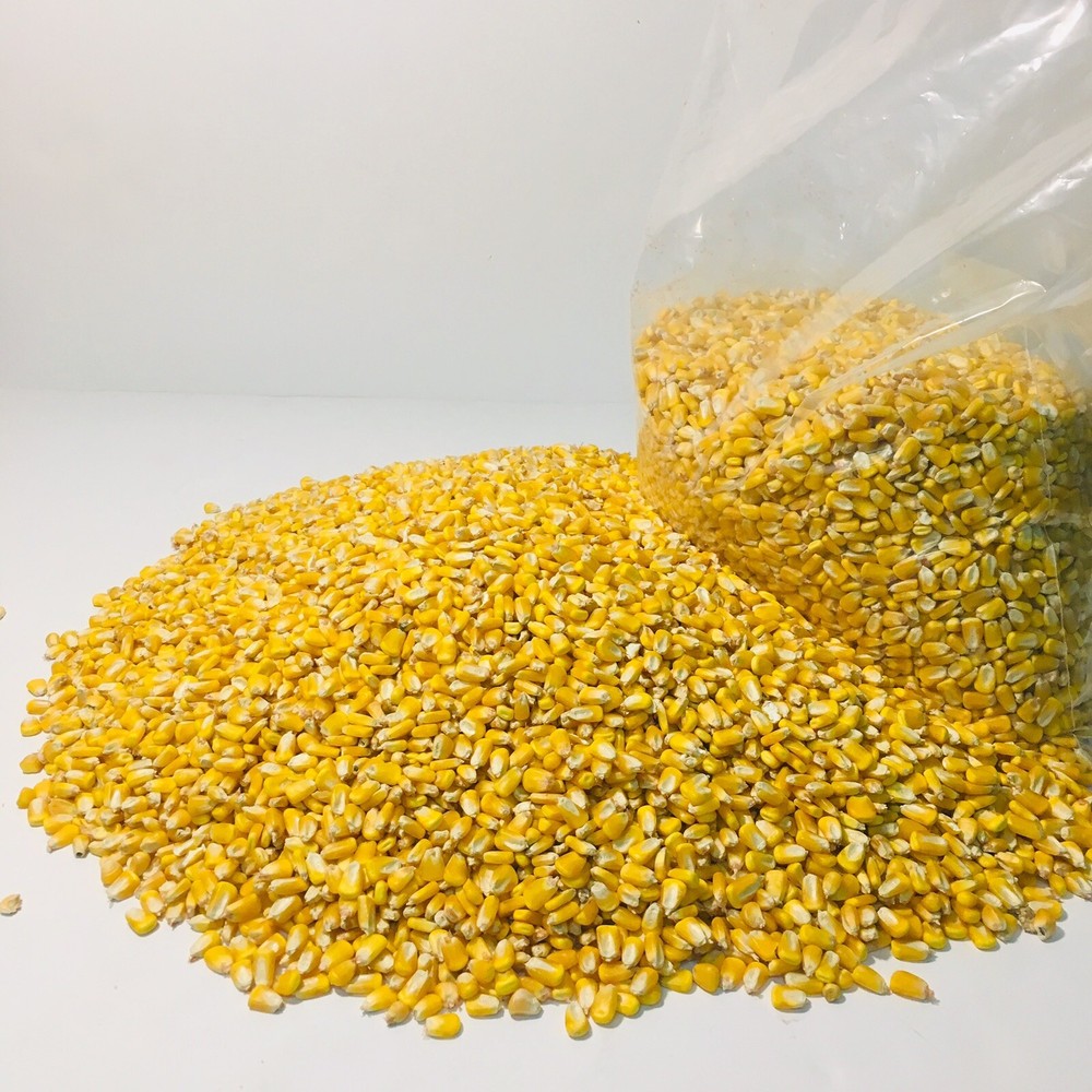 Whole Kernel Corn Animal Wildlife Feed Arts & Crafts 10 Lbs