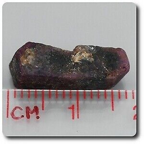 7.72 Carat Crystal Ruby Burma