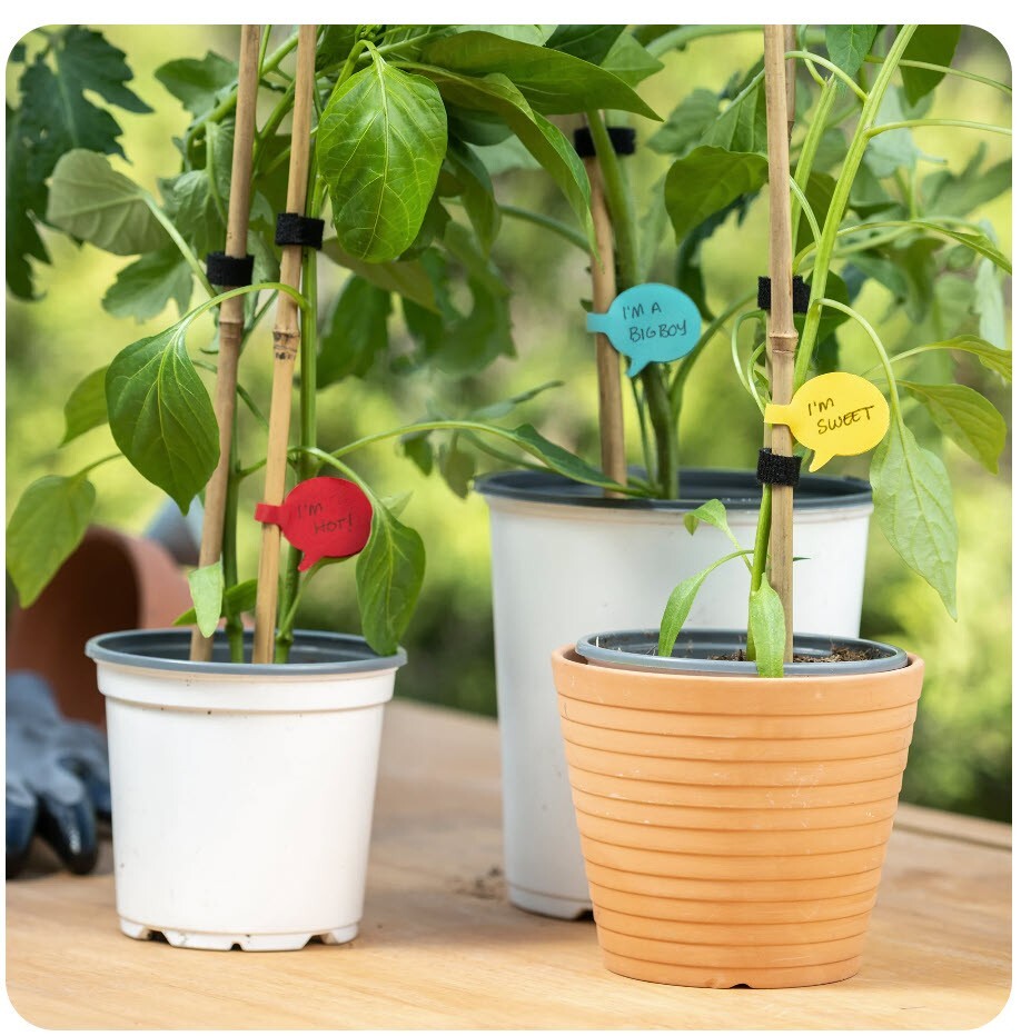 Wrap-It™ Medium Multi-Color Cable Labels -10 Pack Speech Bubble