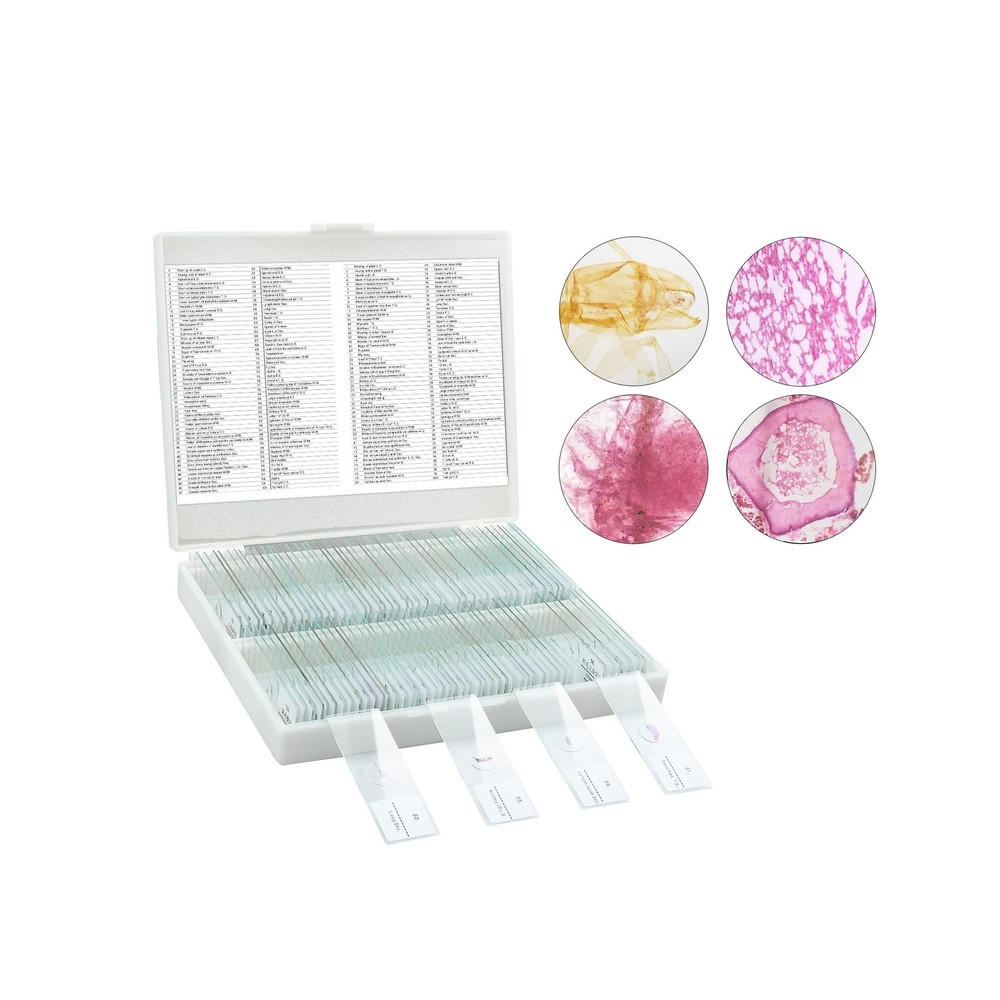 Microscope Slides, 100 Pcs Prepared Microscope Slides with Specimens for Kids...