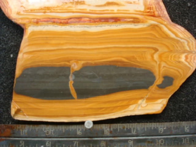 huge owyhee jasper slab