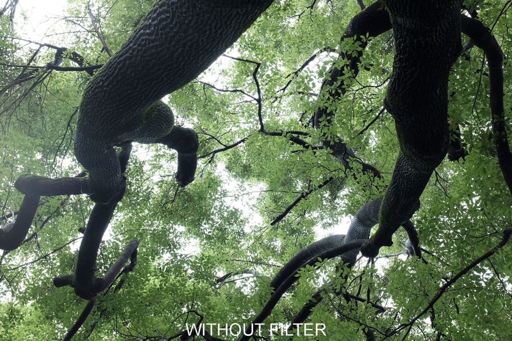 Kenko Black Mist No. 05 Camera Lens Filter