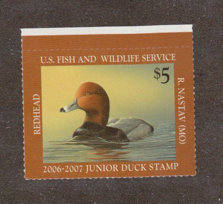JDS14 Junior Duck Stamp. Single.   #02 JDS14