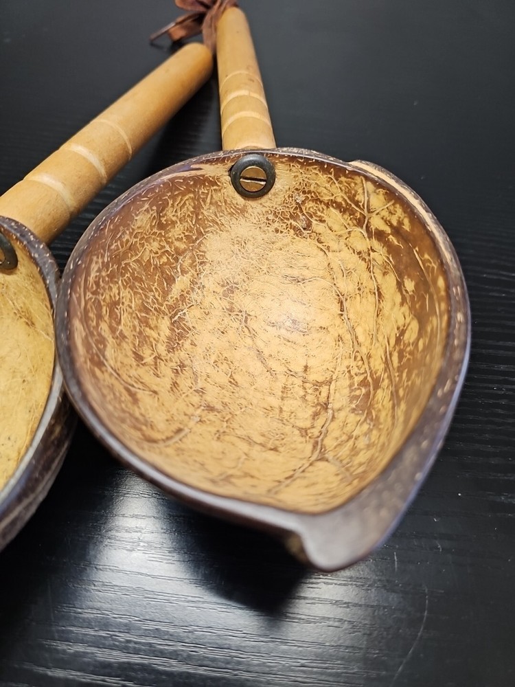 Eco Friendly Organic Spoons Coconut Shell Handmade