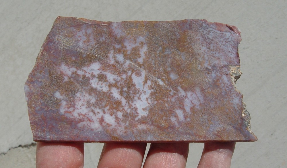 Calico Moss Agate Lapidary Slab T722