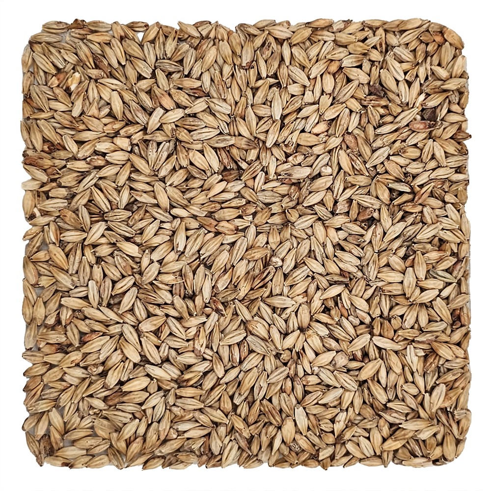 Home Brew Ohio Abbey Grain 1lb