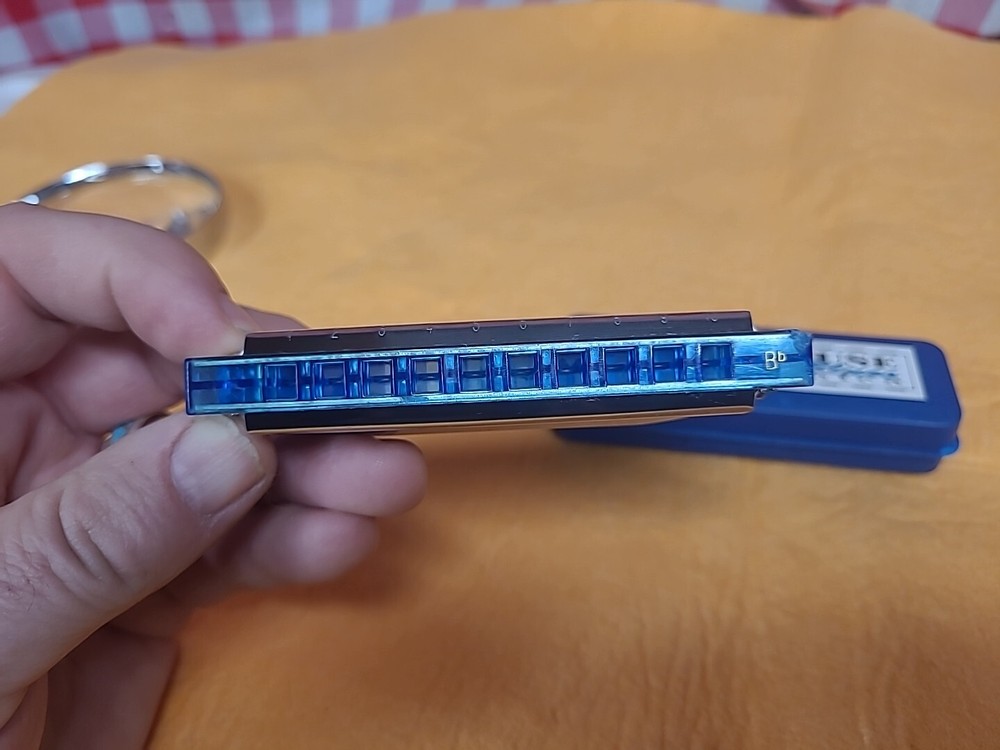 Jailhouse Blues Harmonica with Case