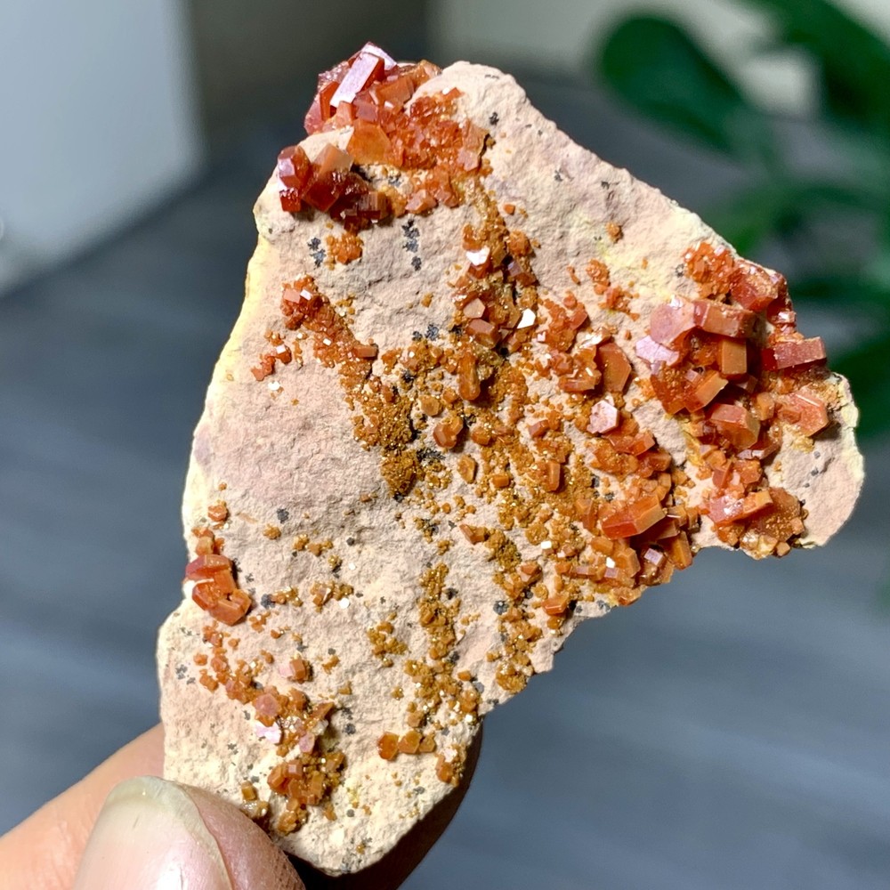 21GNatural Beautiful Vanadinite Atone Cluster Quartz Mineral SamplefromMorocco