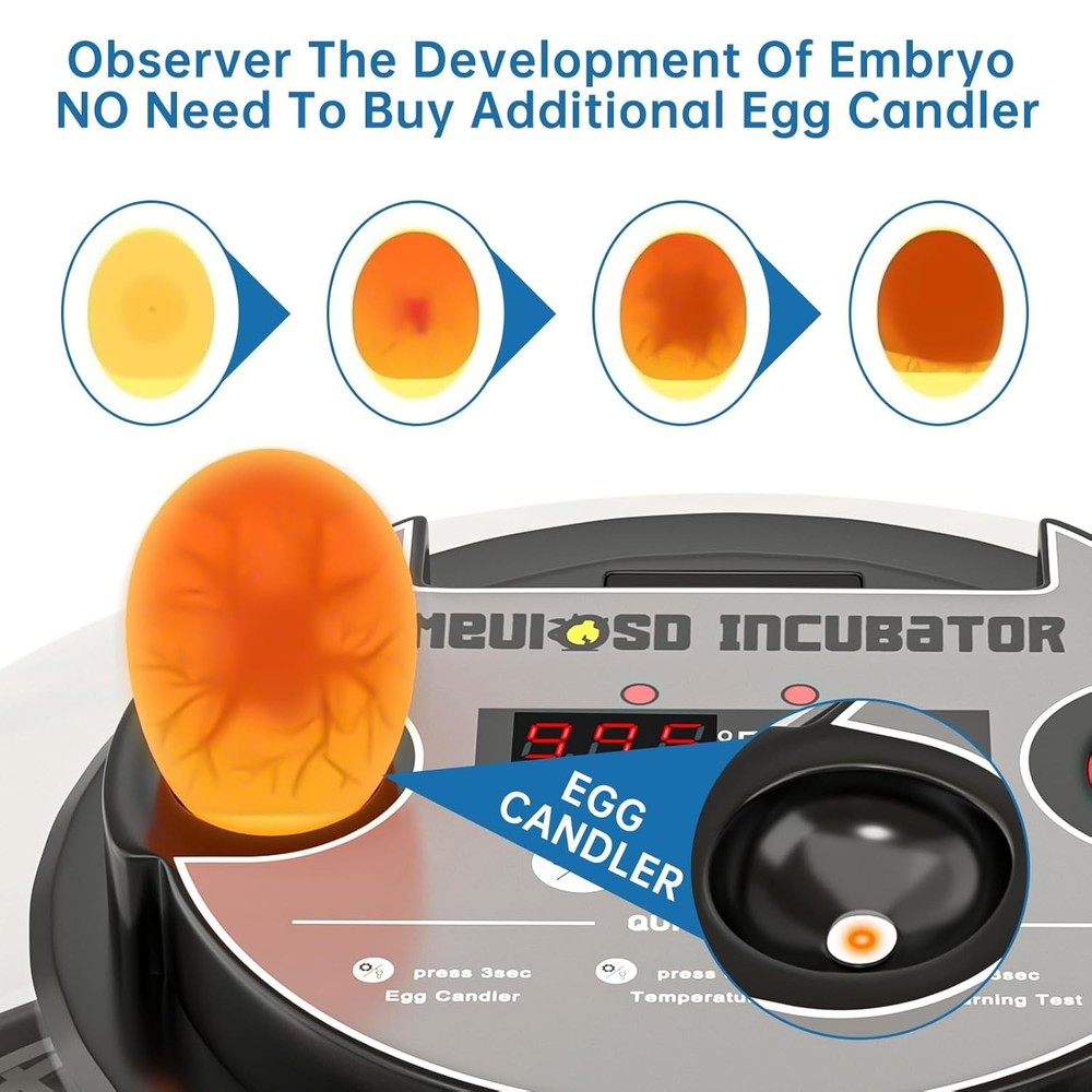 12-24 Egg Incubator with Humidity Display Egg Candler Automatic Egg Turner