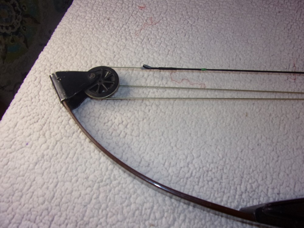 Bear Blacktail Hunter Compound