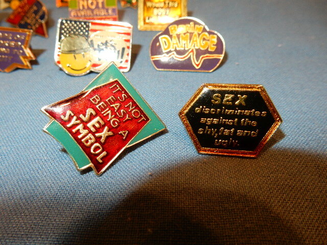 19 Brooch Pins