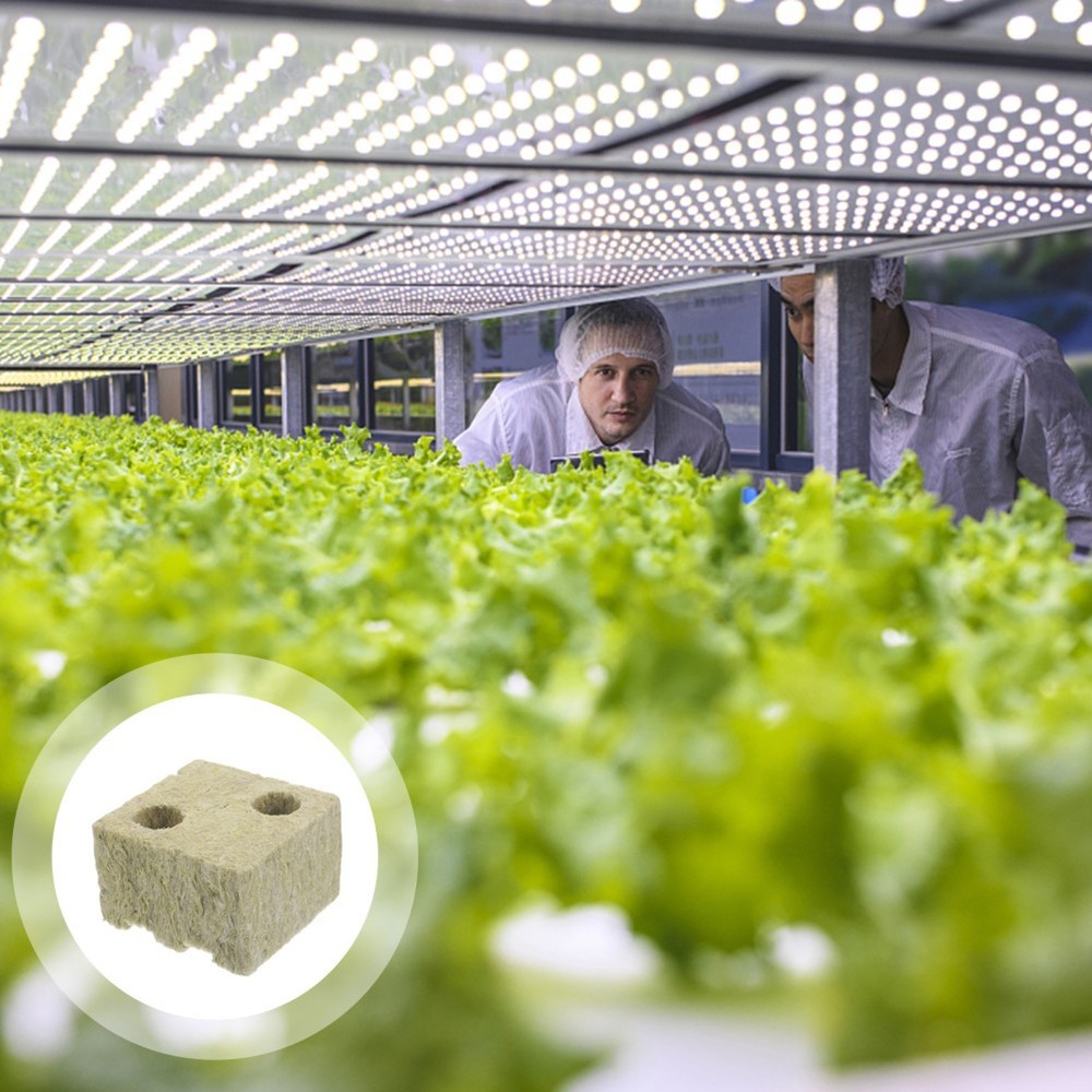 5 Pcs Vegetable Propagation Cubes Soilless Cultivation Blocks