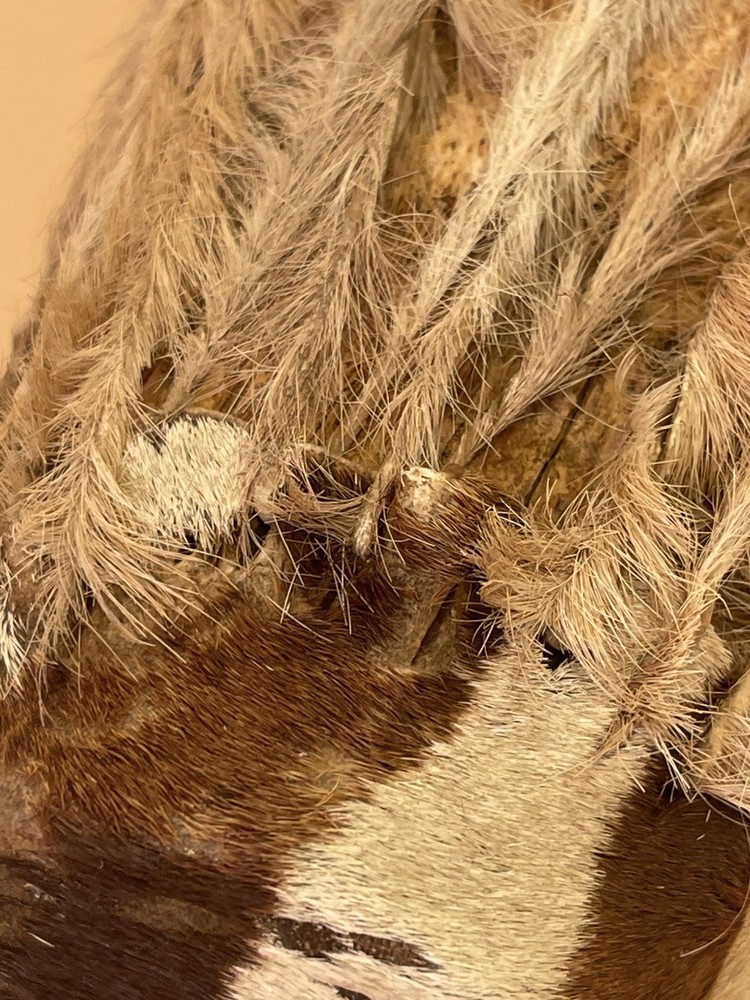 A small vintage hand drum