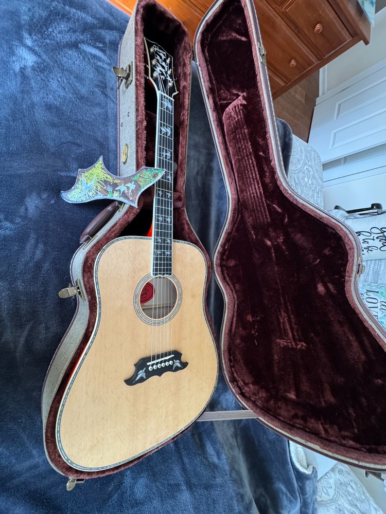 Doves in Flight Tribute Guitar