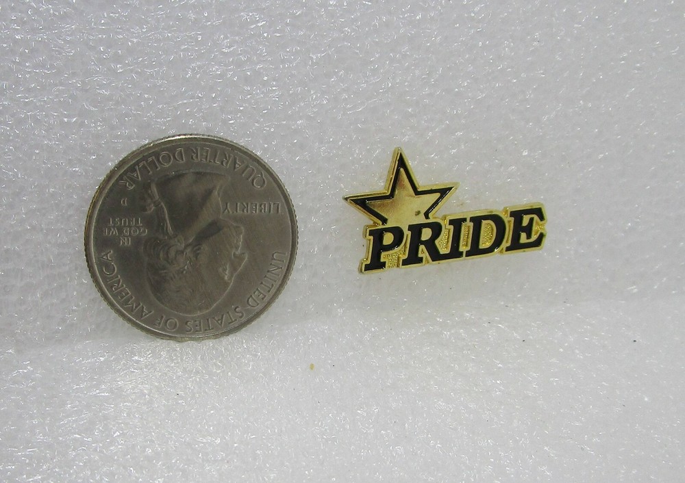 Pride Star Pin