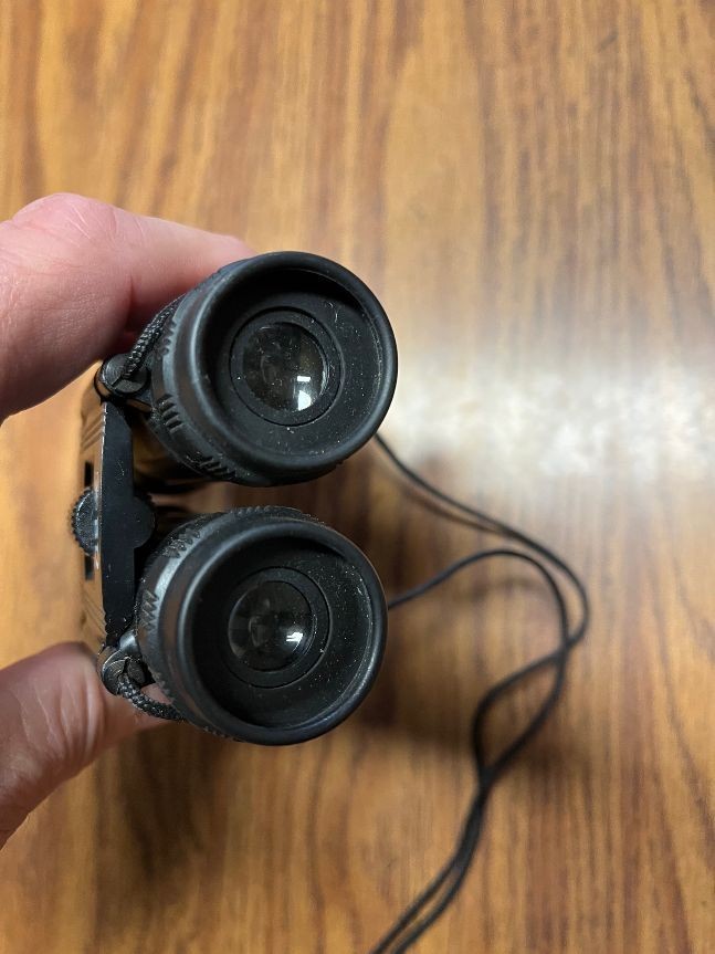 Binoculars 10x25 DCF 101M/1000M Ruby Anti Reflective Lens