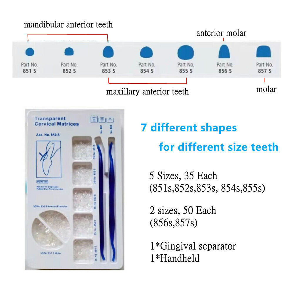 Dental Transparent Cervical Matrices Retractor Matrix Composite Gingival Veneer