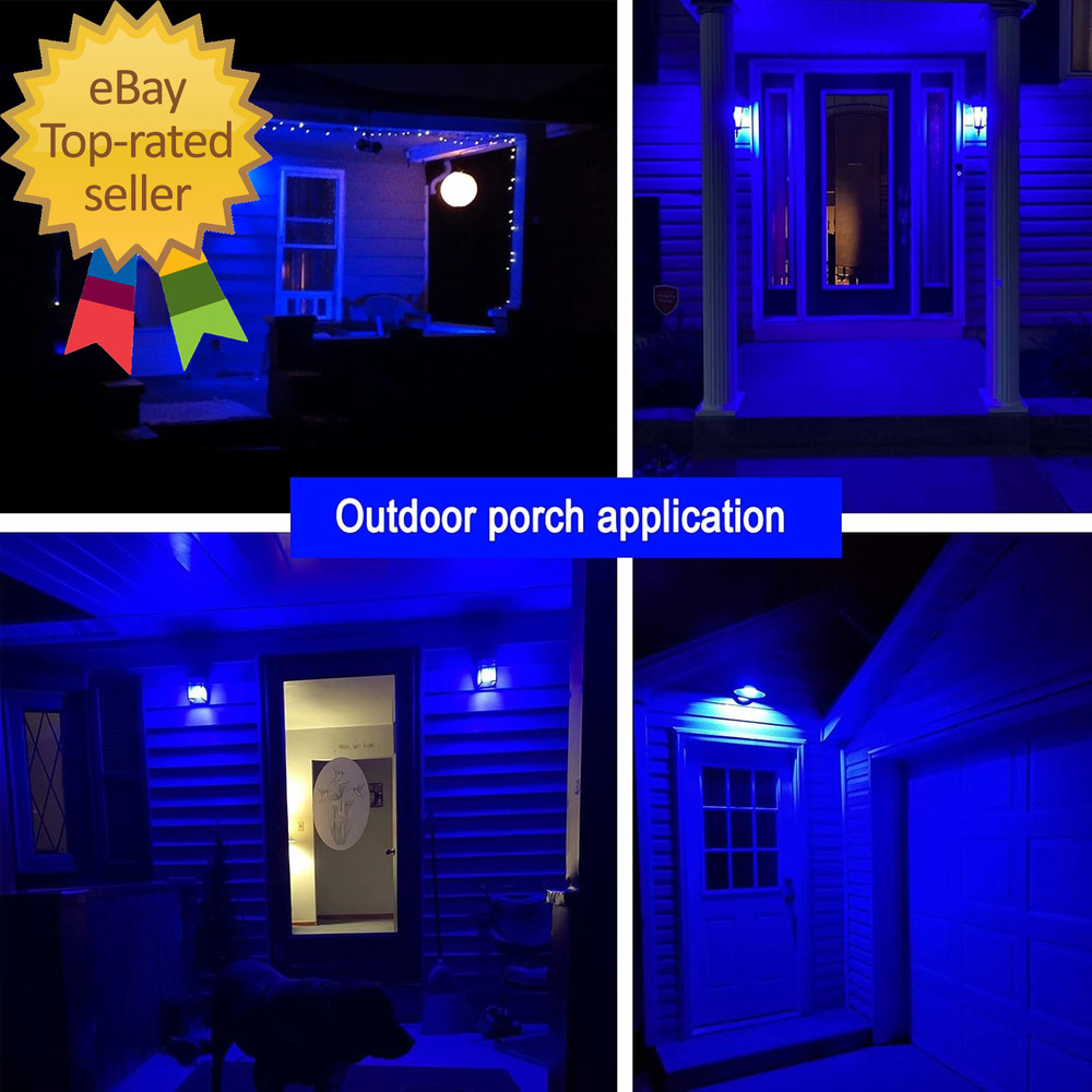 LED Blue Color Light Bulb - A19 E26 Base Blue Bulbs 9W (60W Equivalent) LED