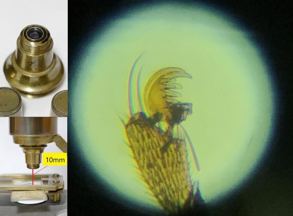 microscope antique collectible Peter Dolond's achromatic microscope