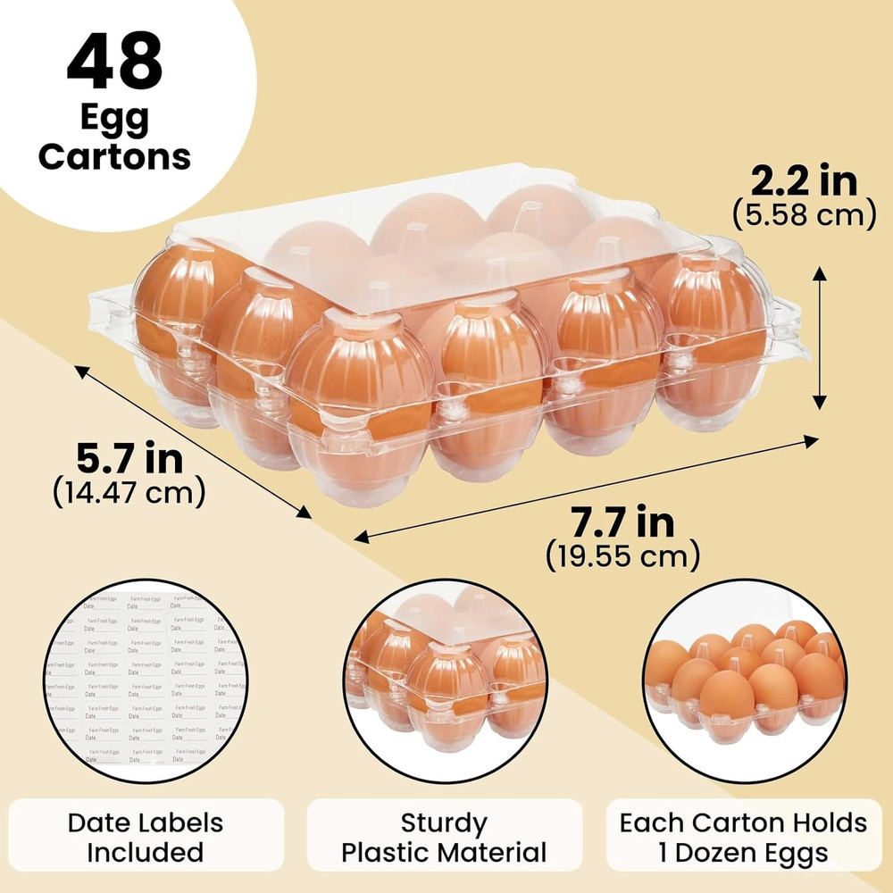48-Pack Plastic Egg Cartons Holds 1 Dozen with Date Labels