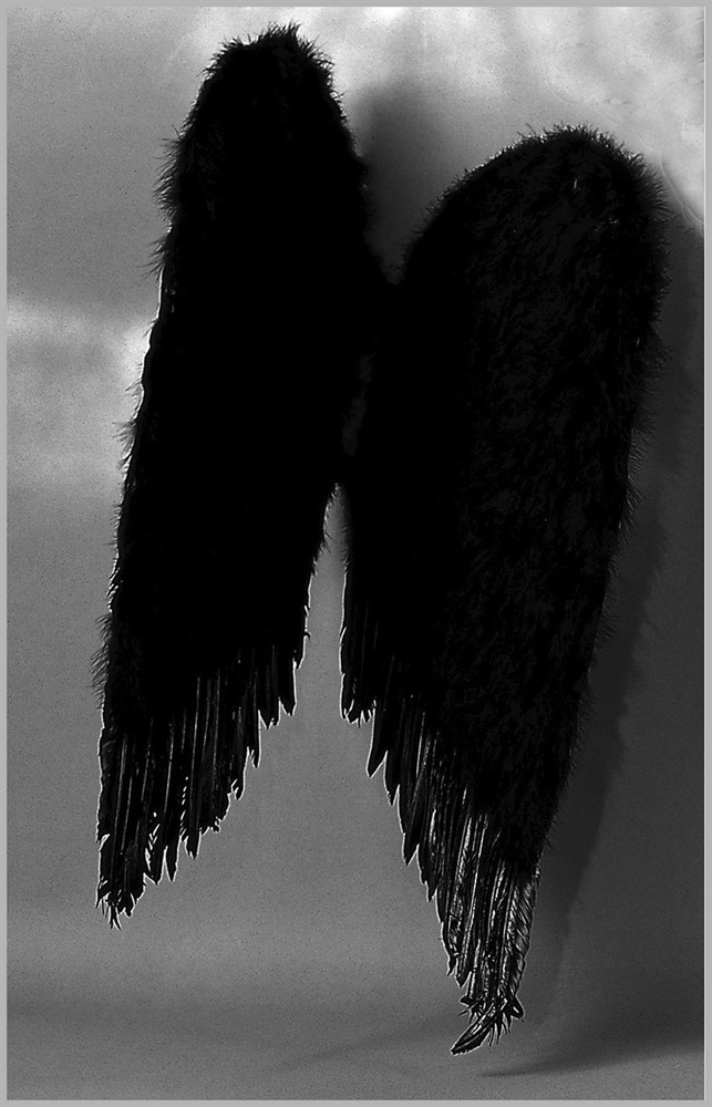 Feather Wings - Rubie's