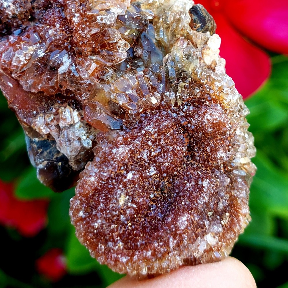Fossilized Agate shell Cluster druzy natural crystal healing gemstone - #11