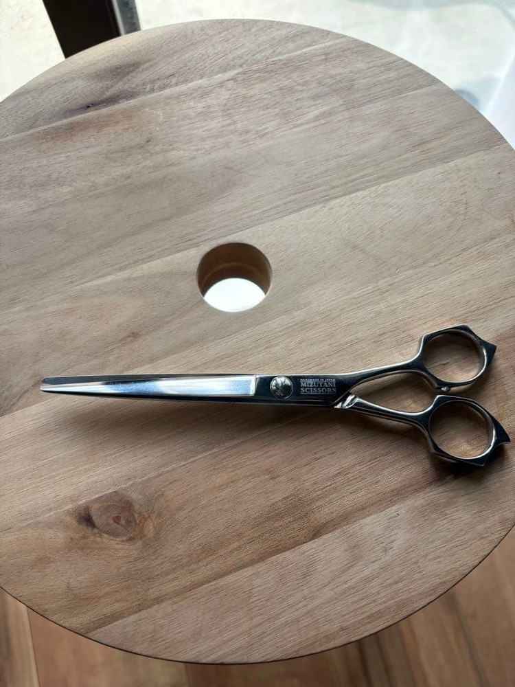 Mizutani Acro Scissors
