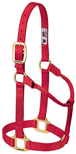 Weaver Leather Original Non-Adjustable Nylon Horse Halter, Average, Red