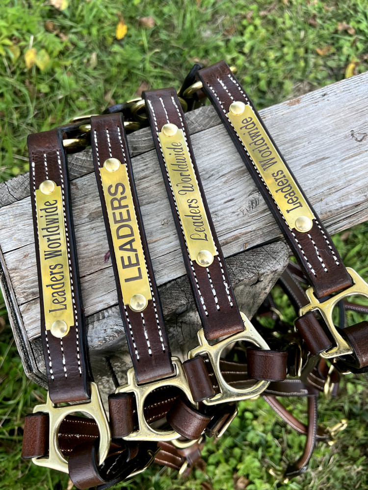 Leaders 1" Havanna Brown Leather Halter White Stitch Solid Brass